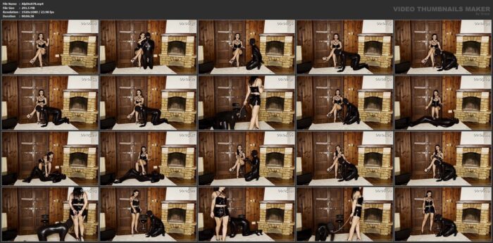 Mistress Teodora In Scene: Pet Training - I Am Training My Slave to Be a Good Obedient Pet - ALPHA DIVA / MONEY GODDESSS - FULL HD/1080p/MP4