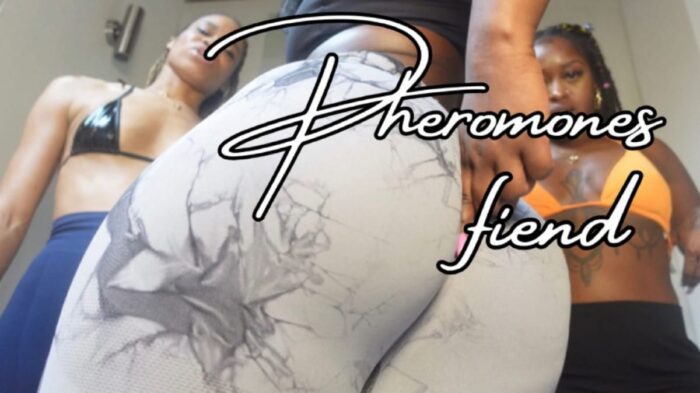 Pheromone Fiend Enslaved To Our Scent - QUEEN MELANIN - FULL HD/1080p/MP4