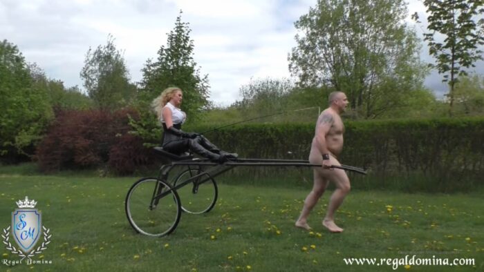 Some Stallion Stamina Training For You To Enjoy - MISS SUZANNA MAXWELL - FULL HD/1080p/MP4