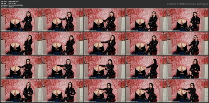 Mistress Teodora In Scene: Degraded Faggot - ALPHA DIVA / MONEY GODDESSS - FULL HD/1080p/MP4