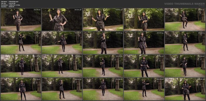 Mistress Sadomme - Goddess With Her Bullwhip - FEMDOMFOTO - HD/720p/MP4