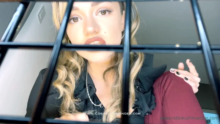 POV - Its Official - We Live Together And You Are Now My Caged Cuck - COBRA CUMMANDER - MP4