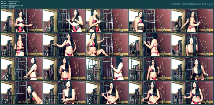 Dominatrix Mara's Cane + Cage Tease - DOMINATRIX MARA / MISS MARA / MARA DOMINA - MP4