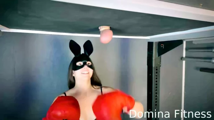 New Boxing Gloves! - DOMINA FITNESS - MP4