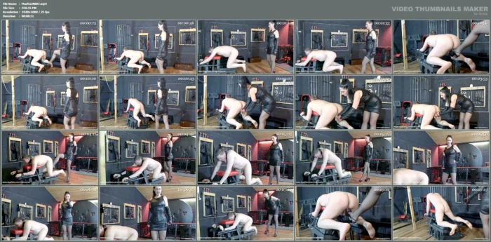 A Slave In Position For A Harsh Ball Kicking - MADAME SARKA / MDM.SARKA CZ PRAGUE - MP4