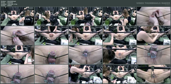 Hardcore Piercing Cbt Part Of This Submissive Slave Training - MEESTERES TIRZA / KIKI KOETSENRUIJTER / MISTRESS TIRZA - MP4