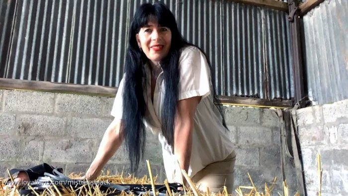 Let Me Punish You In The Straw Barn - MISTRESS BLACK - MP4