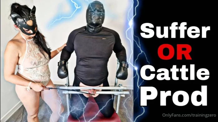 Suffer Or Cattle Prod - MISS RAVEN / TRAININGZERO - MP4