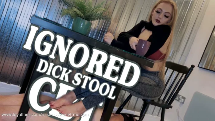 Ignored Dick Stool Cbt - MISTRESS SCARLETT MORGAN - MP4