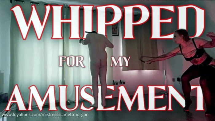 Whipped For My Amusement - MISTRESS SCARLETT MORGAN - MP4