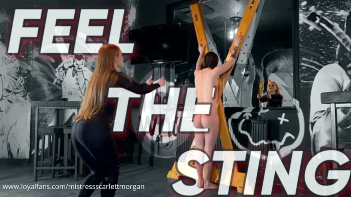 Feel The Sting - MISTRESS SCARLETT MORGAN - MP4