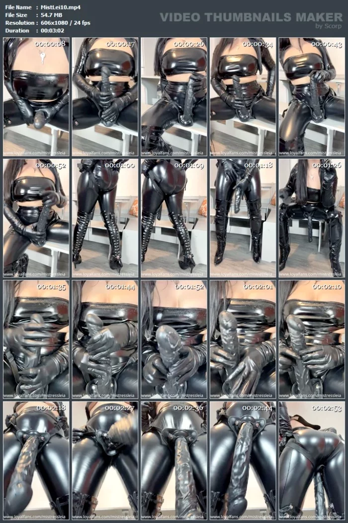 You're Just My Playtoy - MISTRESS LEIA - MP4