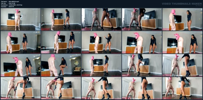 We Love Ballbusting - My Goal Is To Have You On Your Fucking Knees Crying - Honey - WE LOVE BALLBUSTING - MP4