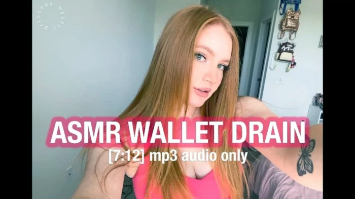 Asmr Wallet Drain Audio Only - WYSTRI / PRINCESS WYSTRI - MP4