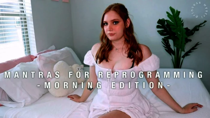 Mantras For Reprogramming Morning Edition - WYSTRI / PRINCESS WYSTRI - MP4