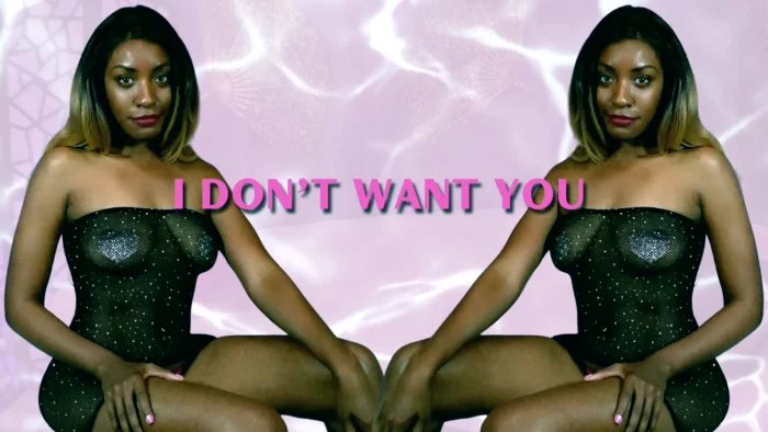 I Don't Want You - AUTHORITYANGELS - MP4