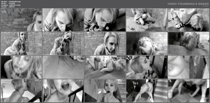 Lick The Pee - DEUTSCHE DOMINANZ - MP4