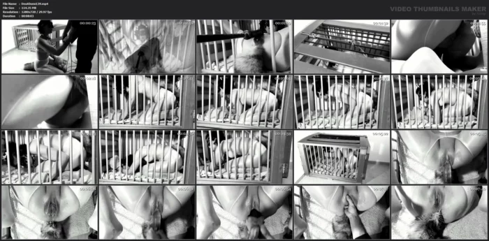 The Cage - DEUTSCHE DOMINANZ - MP4