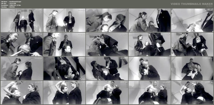 The Interrogation In Threes - DEUTSCHE DOMINANZ - MP4