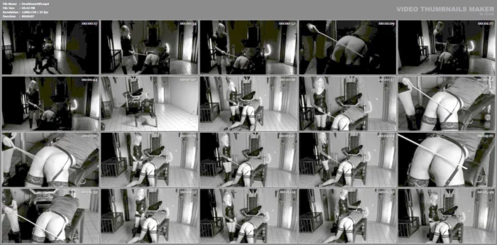The Slave And The Dominate - DEUTSCHE DOMINANZ - MP4