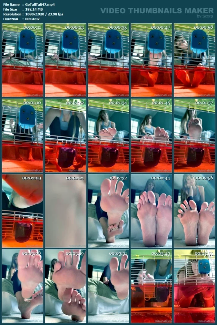 Forever My Pet And Don't You Forget It - GODDESS TALL TASHA - MP4