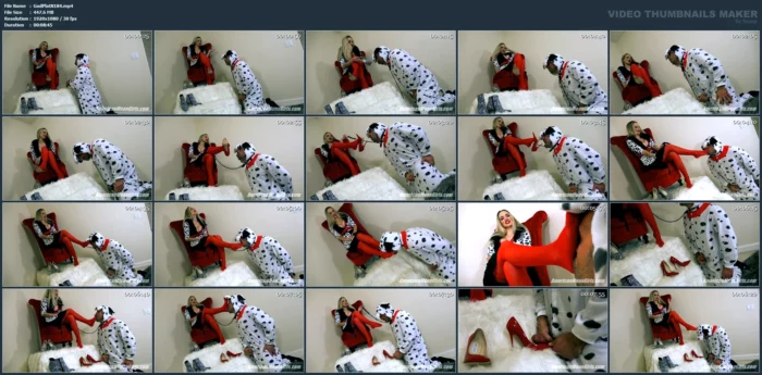 The Ultimate In Paw Thetic - GODDESS PLATINUM - MP4