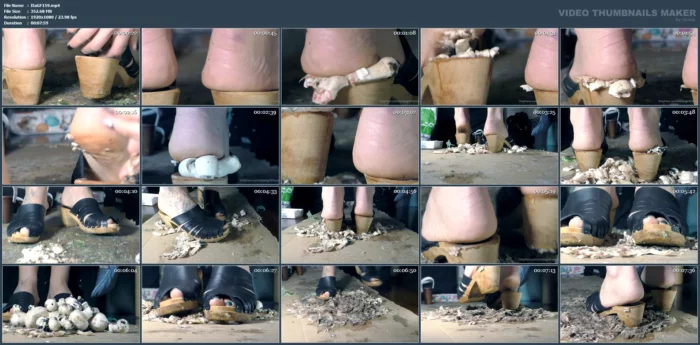 Mushrooms Cream - ITALIAN GIRLFRIEND / AMATORIAL CRUSH CUPS - MP4