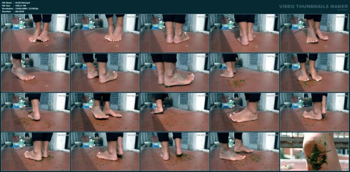 Grass Plants Under My Tanned Feet - ITALIAN GIRLFRIEND / AMATORIAL CRUSH CUPS - MP4