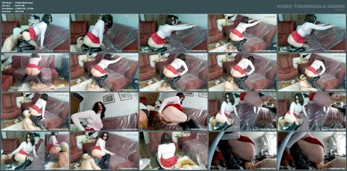 Santa Diarrhea - MADAM TULPAN / FECAL LUXURY - MP4