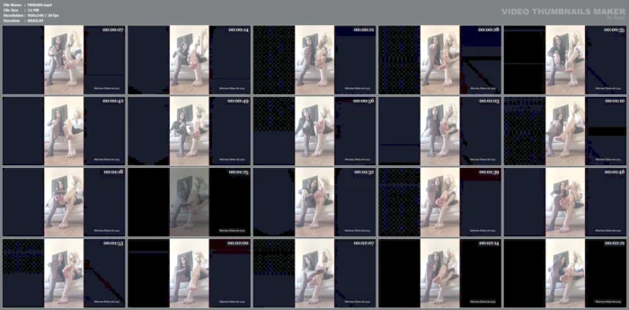 Text To Follow - MISTRESS ELEISE - MP4