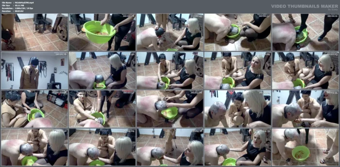 What Do Puppies Do When They See Their Owners - MISTRESS JOHANNA MADRID - MP4