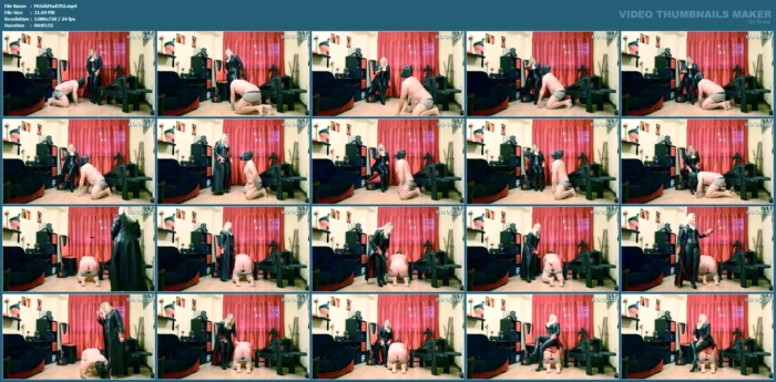 When Apprentice Dogs Dont Follow Orders Well, You Have To Spank Them - MISTRESS JOHANNA MADRID - MP4