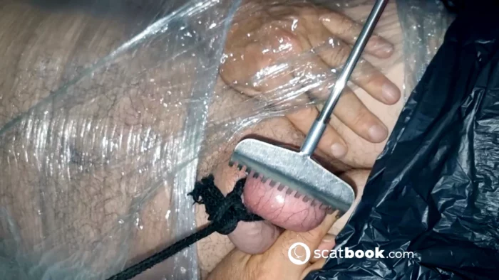 Update 15 - MAITRESSE M3DU5A / MISTRESS MEDUSA - MP4