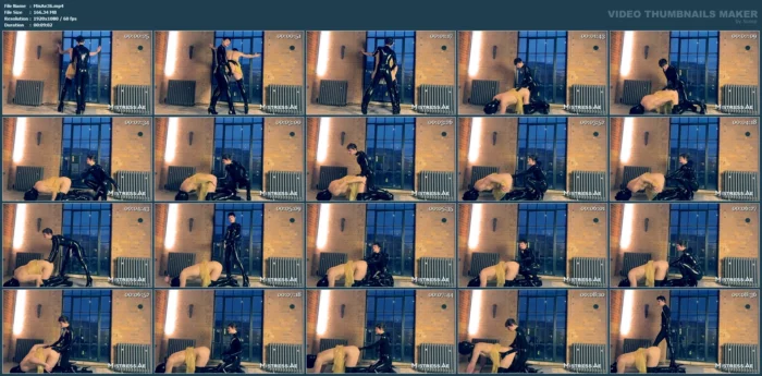 Fucking Ballhooded Sissy By The Window For Whole World To See - MISTRESS AE - MP4
