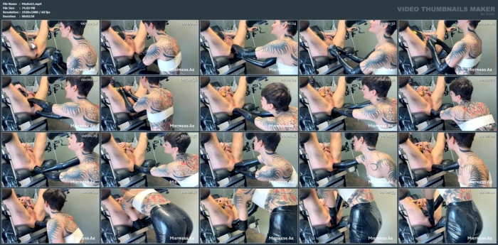 Pigbugs - Birth Of The Piglets - MISTRESS AE - MP4