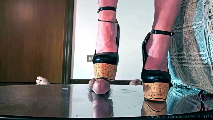 12-33 Minutes CBT Video Edit 2 - MISTRESS ELLE - MP4
