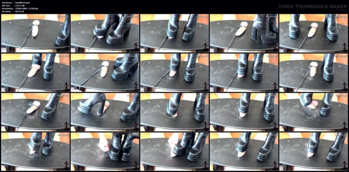 Do You Want To Cum... Ok Do It While I Kick You Edit 1 - MISTRESS ELLE - MP4