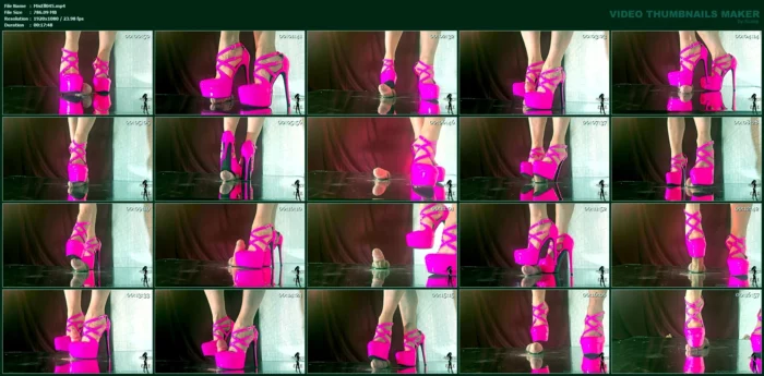 I'm The One In Charge And Not You! Stupid Fuck! Edit 2 - MISTRESS ELLE - MP4