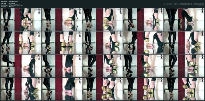 I Enjoyed Torturing My Slave's Cock With These New Shoes Edit 1 - MISTRESS ELLE - MP4