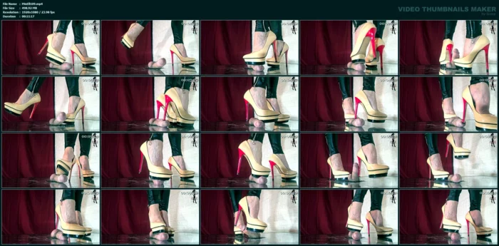 My Favorite Shoes, We Spent Sweet And Sometimes Bitter Moments Edit 2 - MISTRESS ELLE - MP4