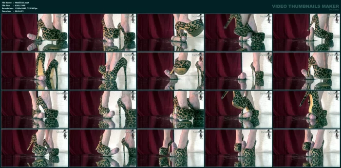 What Better Way Than With A Nice Pair Of Leopard Print Pumps Edit 2 - MISTRESS ELLE - MP4