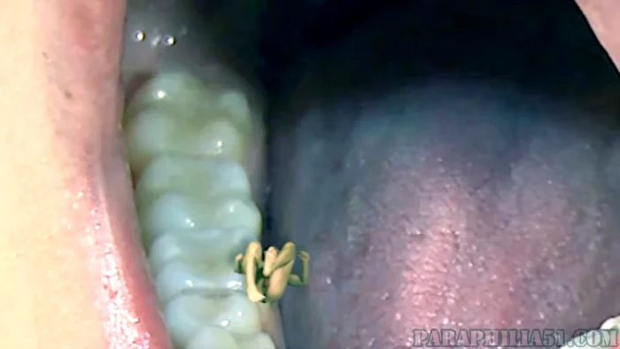 Between Her Teeth - PARAPHILIA51 - MP4