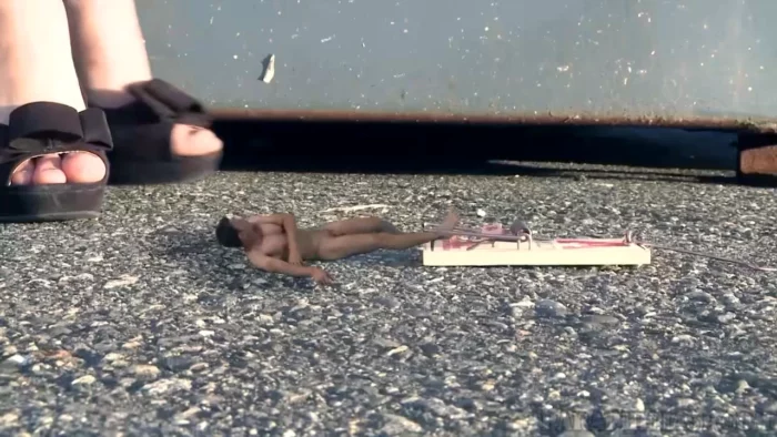 Trapped Like Vermin - PARAPHILIA51 - MP4