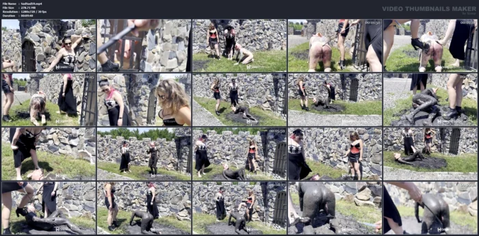 Pig In Mud - SADIC SADIE - MP4