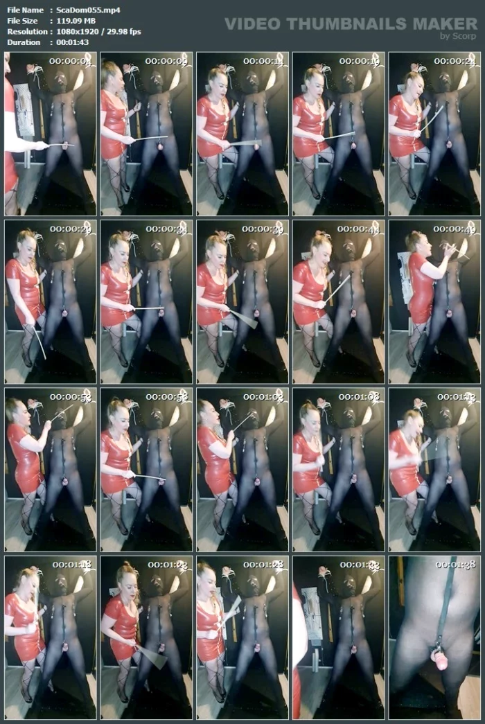 Cock's Spanking - SCATDOMINA / MISTRESS JESSICA / DOMINA SCHWEIZ - MP4