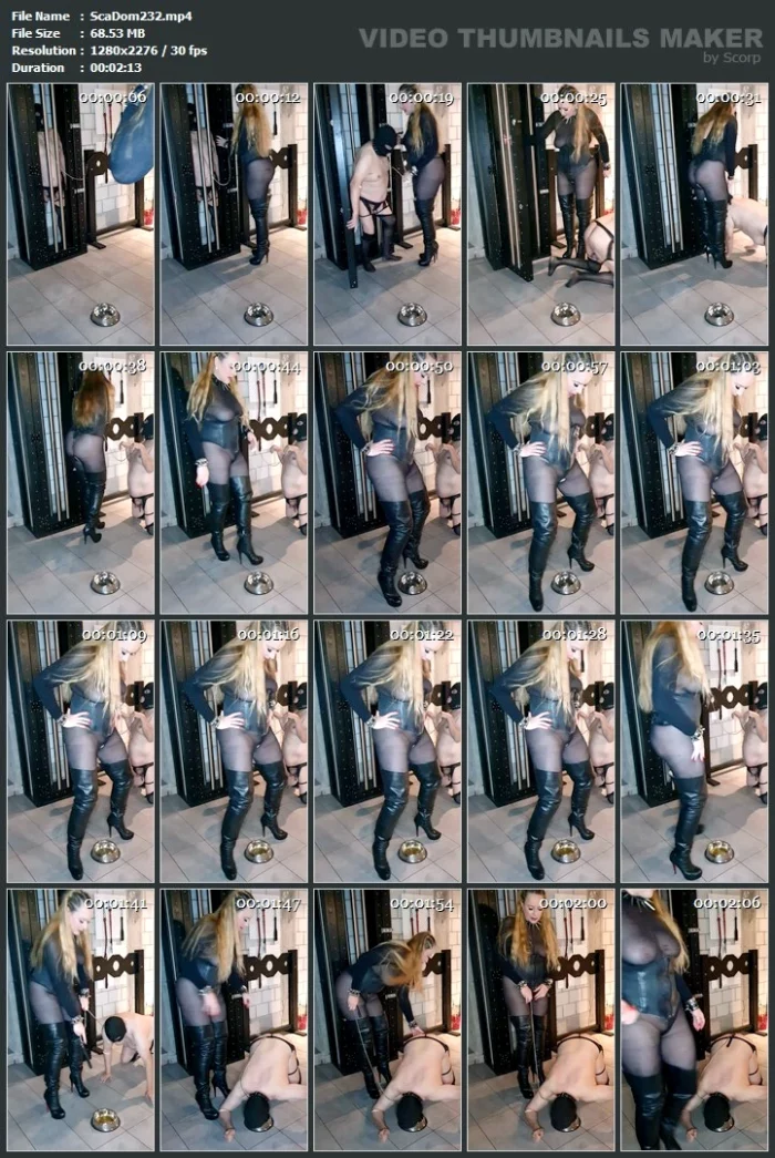 Piss For Dog - SCATDOMINA / MISTRESS JESSICA / DOMINA SCHWEIZ - MP4