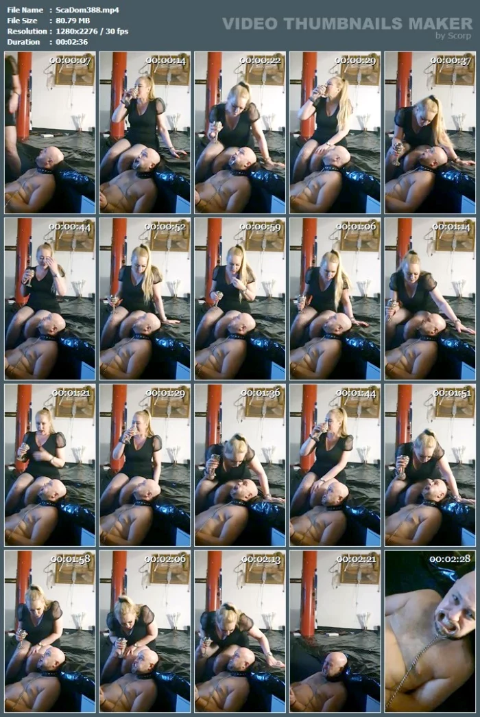 Spitting In Slave's Mouth - SCATDOMINA / MISTRESS JESSICA / DOMINA SCHWEIZ - MP4