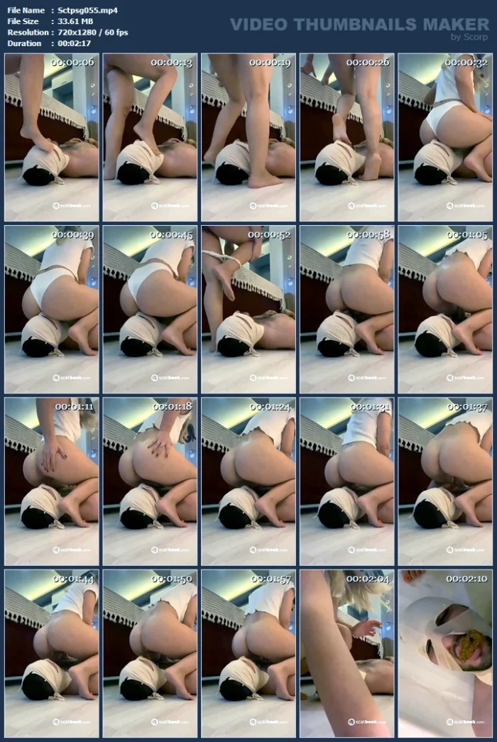 Mistress Beret's Ass Is Programmed To Shit In Your Mouth - SCTPSG06 - MP4