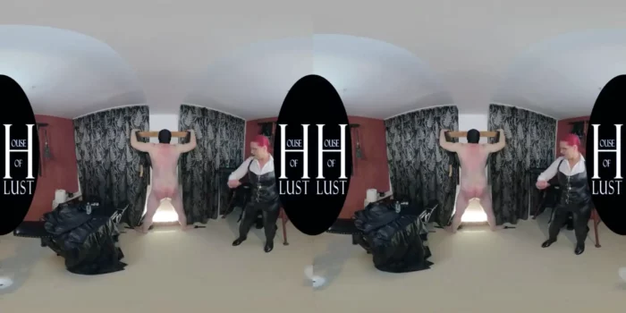 Vr Vids - Goddess Andreea - Servant Punisher! Part 1 - SEXLIKEREAL - MP4