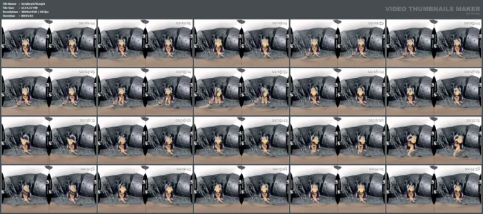Vr Vids - Mistress Saida - POV Servant Ballbusting SPH, Pimped And Pervert Ideas - SEXLIKEREAL - MP4
